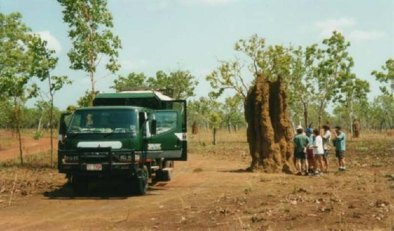 Termite Mountains