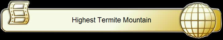 Highest Termite Mountain