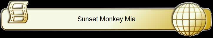 Sunset Monkey Mia