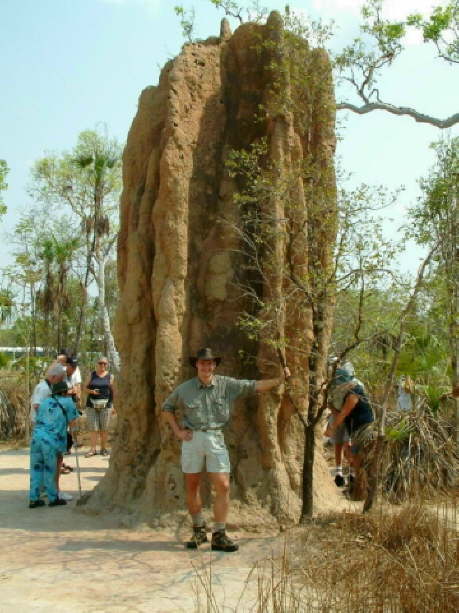 Highest Termite Mountain