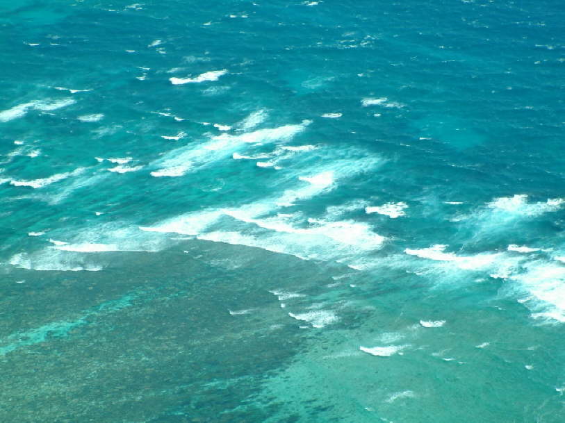 Bird's Eye View Ningaloo Reef