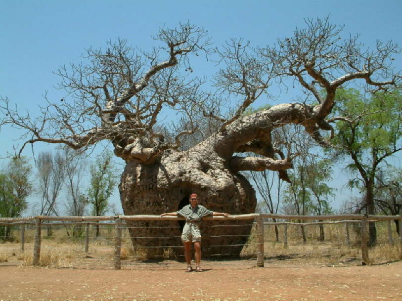 Bob Tree Prison