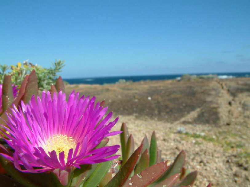 Leeuwin Naturaliste NP