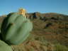 Flinders Ranges