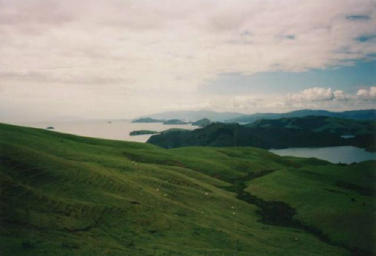 Coromandel