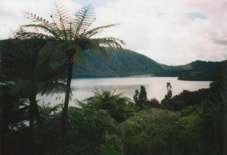 Lockout nearby Rotorua