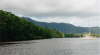 Daintree River