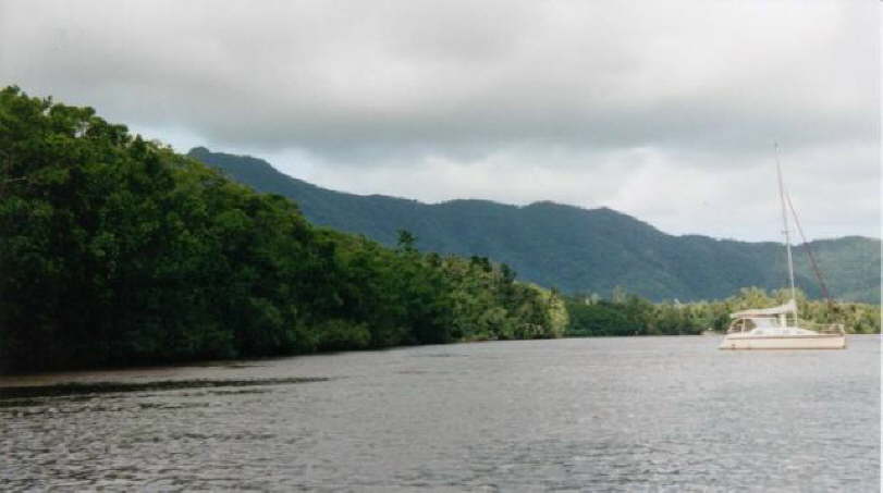 Daintree River