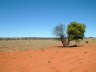 Nullarbor