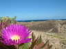 Cape Leeuwin
