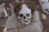 Nasca Cemetery